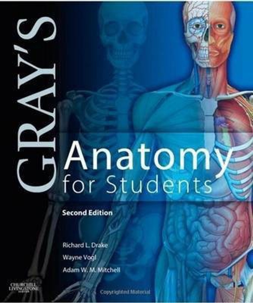 Greys anatomy online free on sale