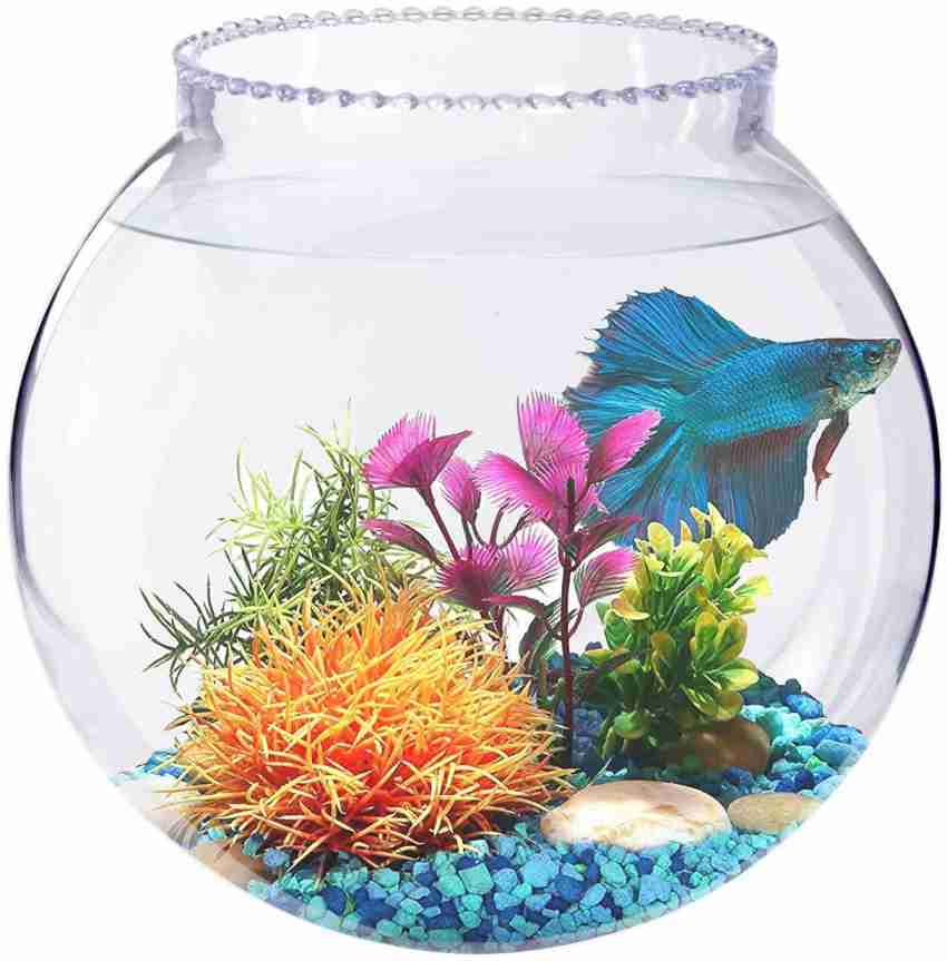 3 gallon shop glass fish bowl