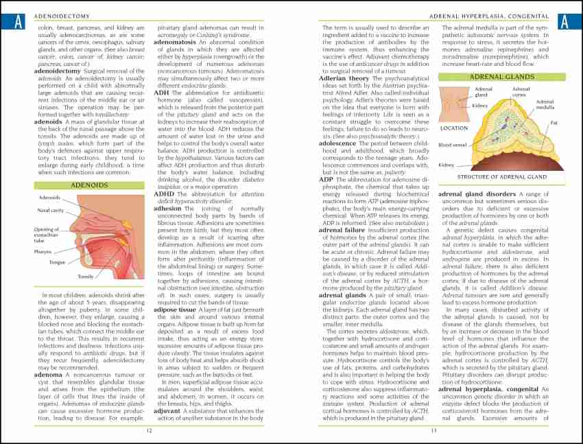 Buy BMA Illustrated Medical Dictionary by DK at Low Price in India