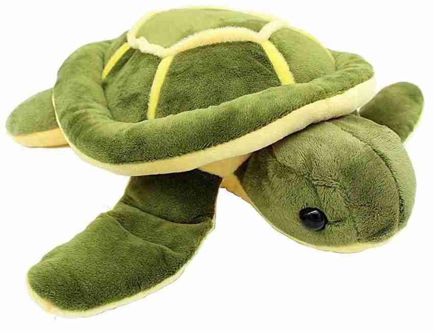 Tortoise hotsell cuddly toy