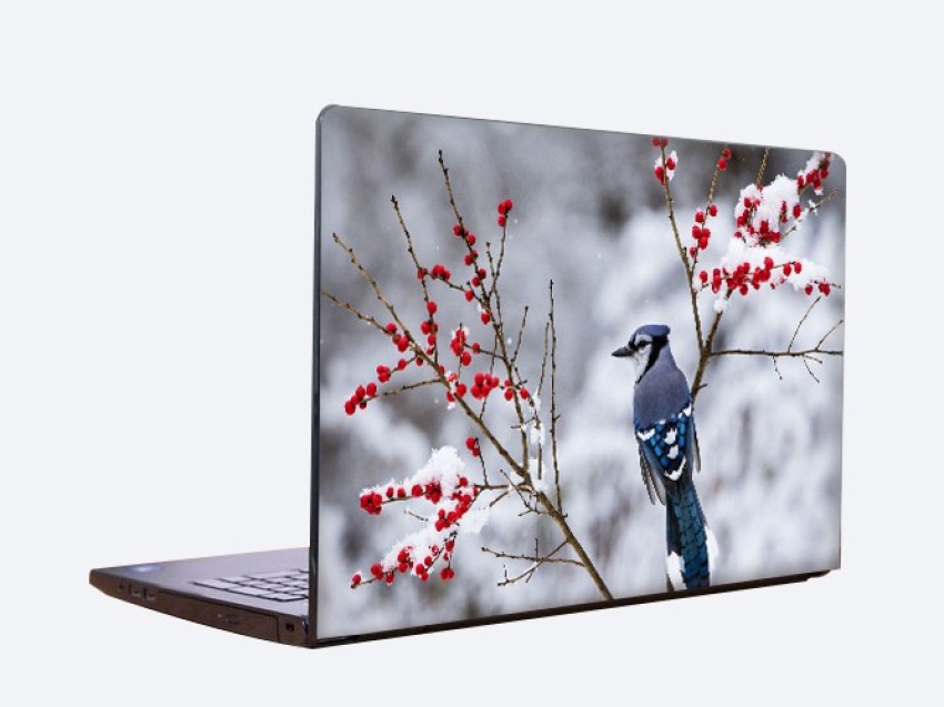 KANORA IMPRESSIONS SUPREME Self Adhesive textured paper Laptop Decal 15  Price in India - Buy KANORA IMPRESSIONS SUPREME Self Adhesive textured  paper Laptop Decal 15 online at