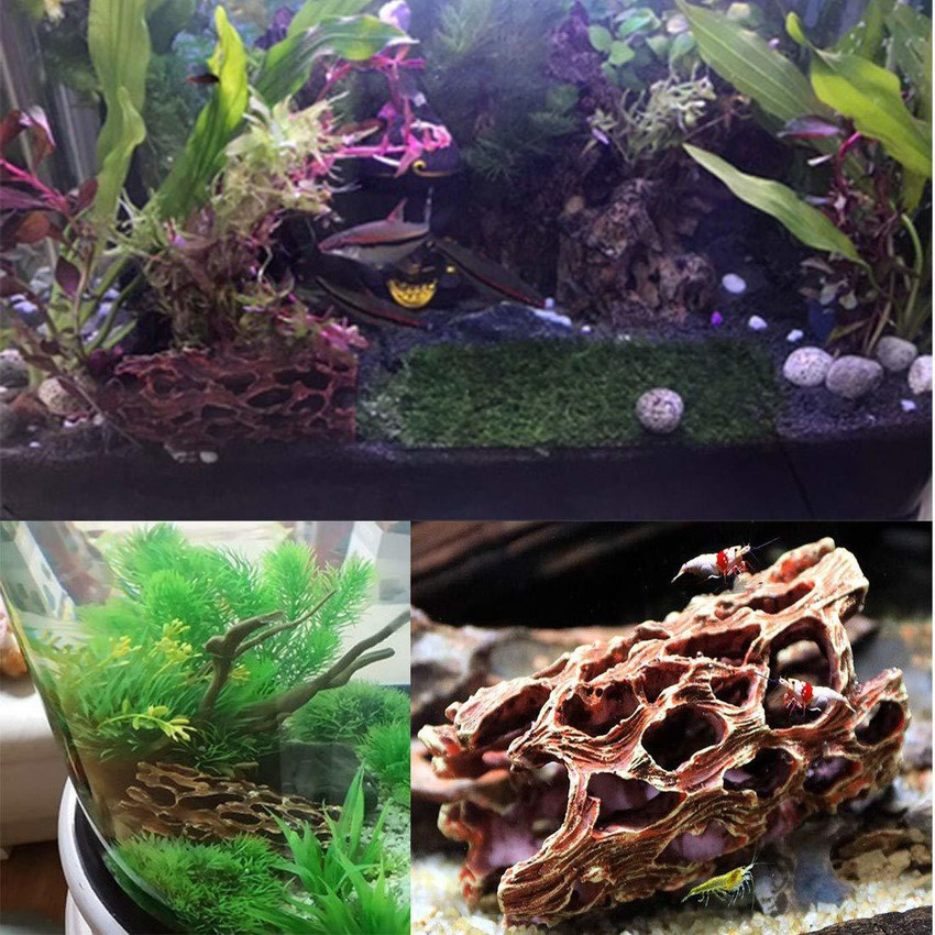 emours Driftwood Resin Cholla Cactus Skeleton Hideout for Shrimps