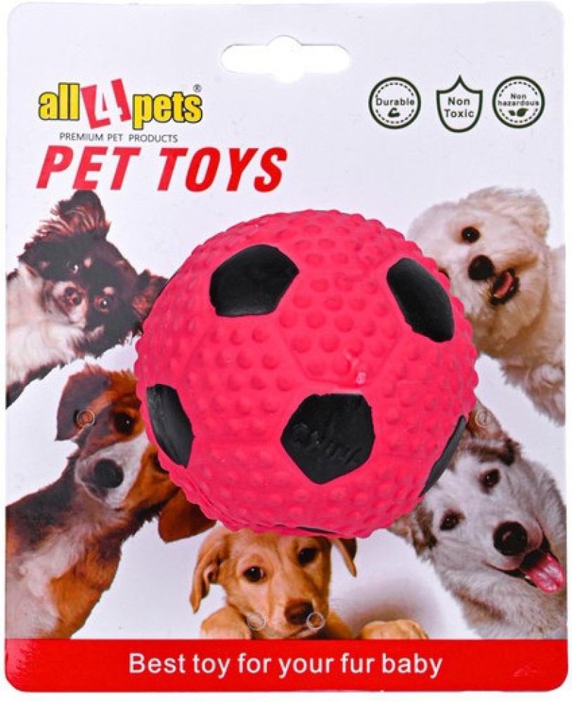 Flipkart pet shop accessories