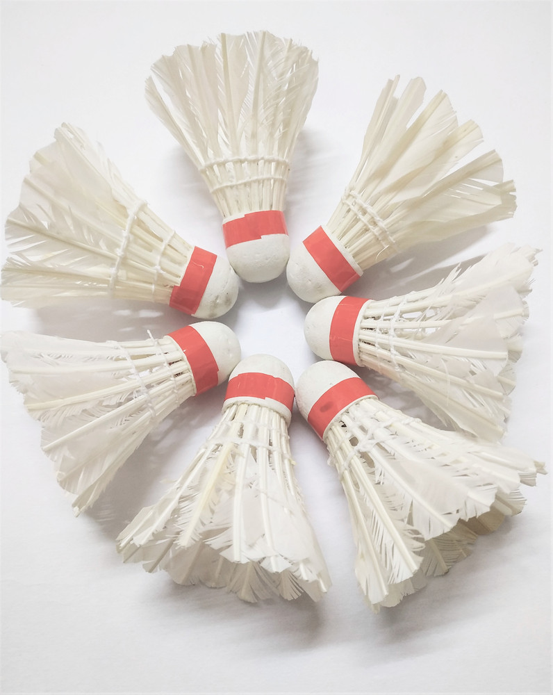 Yonex feather shuttlecock flipkart hotsell