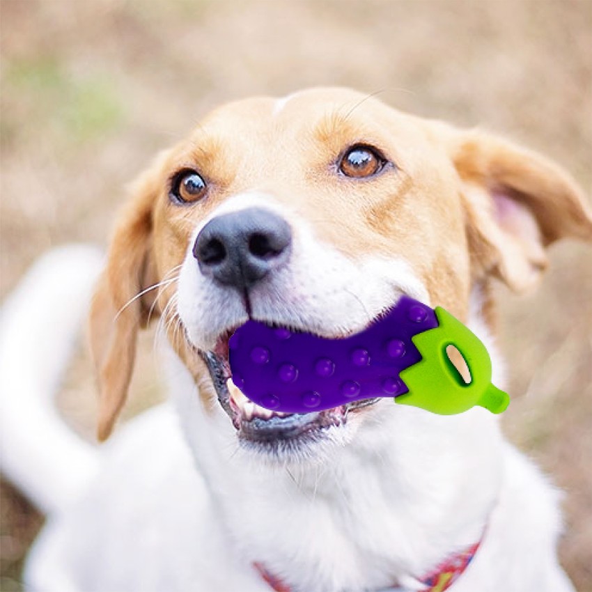 FOFOS Vegi-Bites Eggplant Dog Toy - Tails In The House