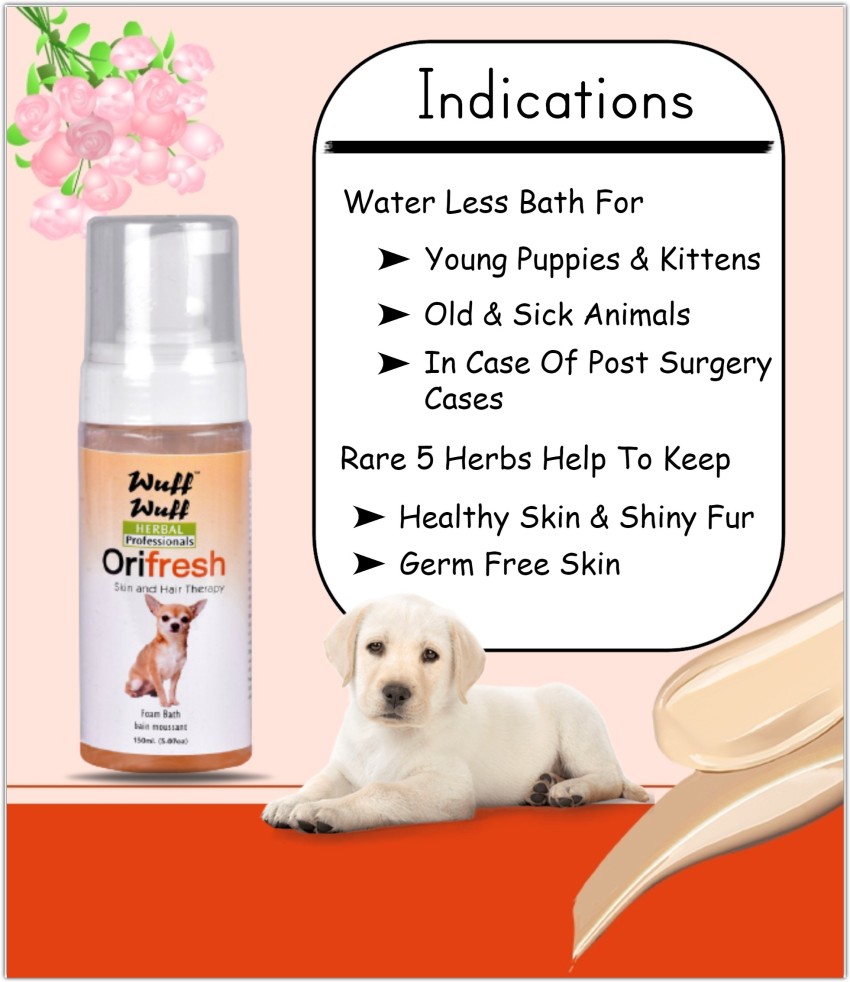 Allergy bath for dogs best sale