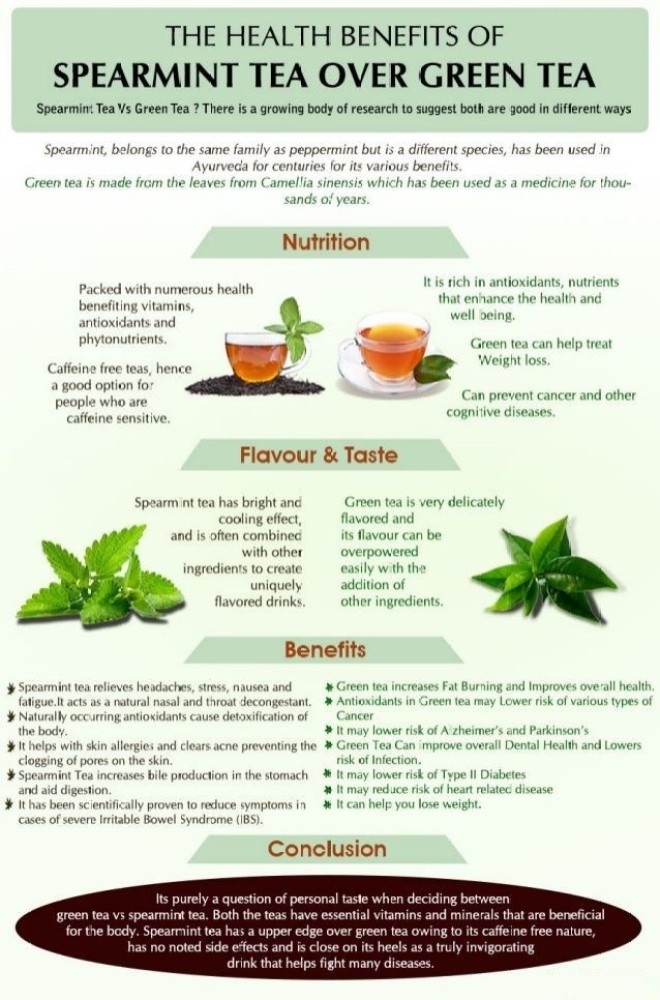 https://rukminim2.flixcart.com/image/850/1000/kjem3rk0-0/tea/n/h/u/50-spearmint-herbal-tea-leaves-50-gm-100-natural-and-antioxidant-original-imafyzcasrnmv2yg.jpeg?q=90&crop=false