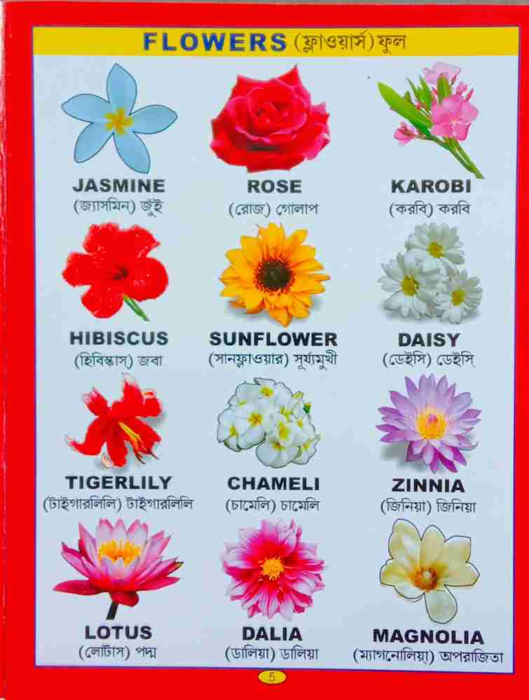 Baby Flowers Words Book English