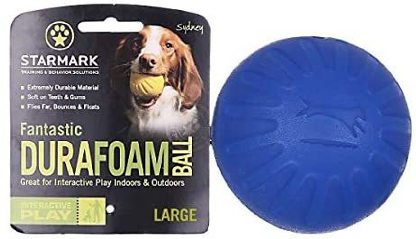 Durafoam dog frisbee top