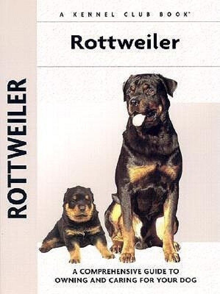 Owning best sale a rottweiler