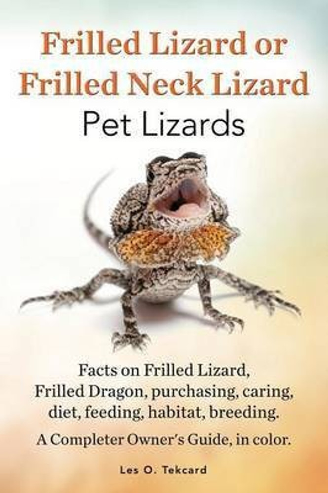 Pet discount lizard habitat