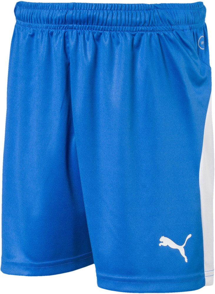 Puma hot sale liga short