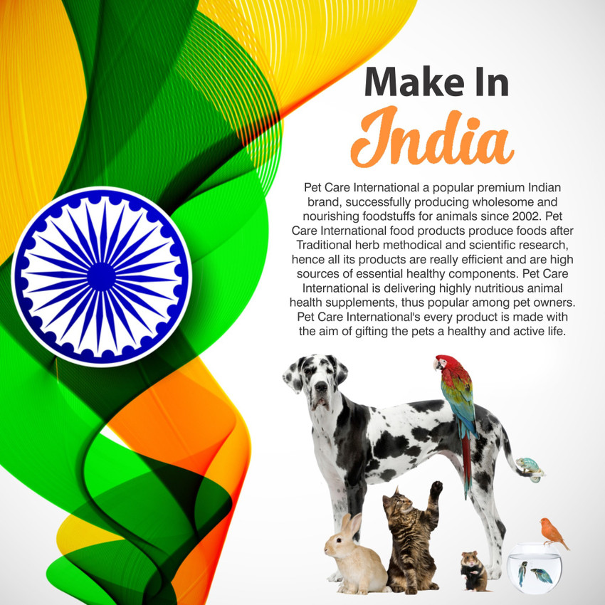 International store pet care