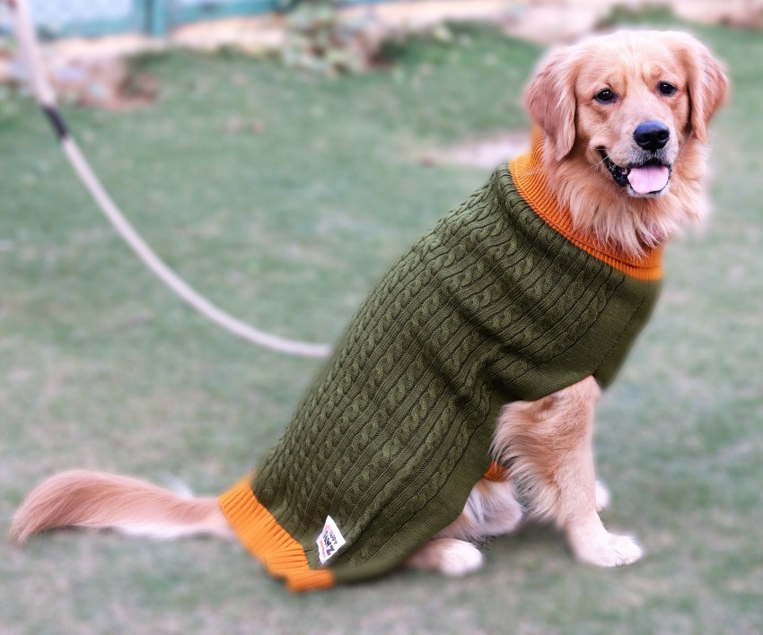 Pawz sweaters best sale