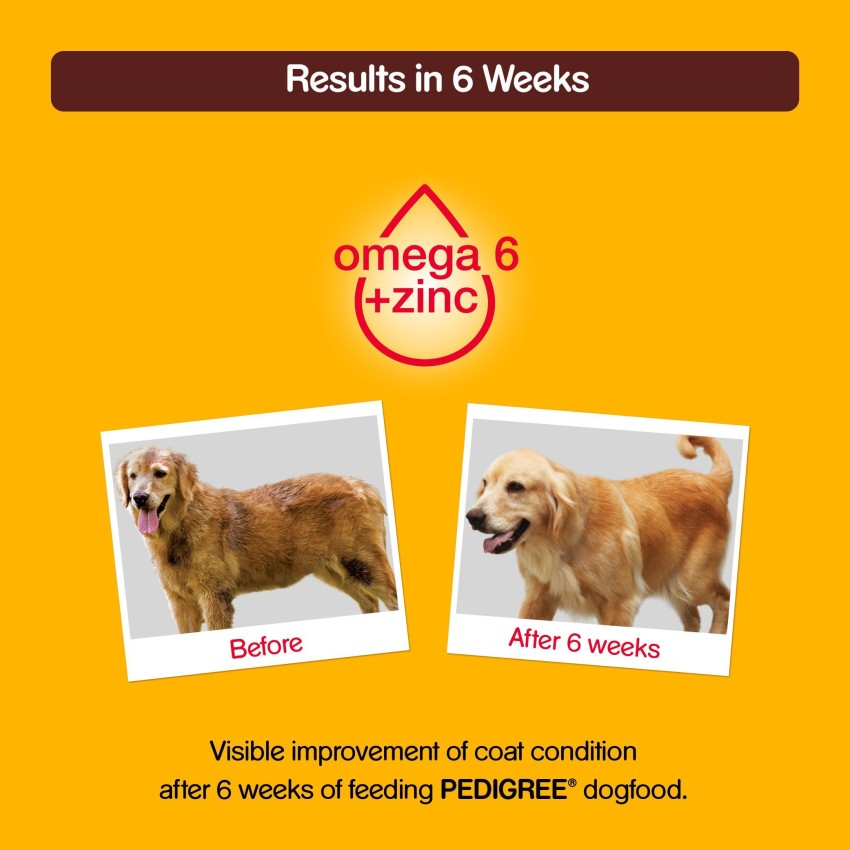 Pedigree 10kg clearance price