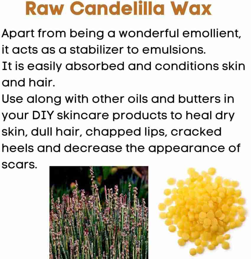Candelilla Wax