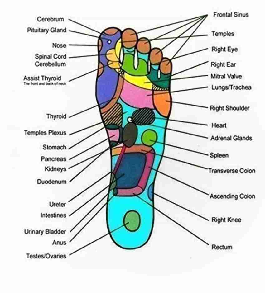I.P.L. 123 Acupressure Magnetic Therapy Insoles for Foot Massaging Pain Relif Breathable Massage Magnetic Shoe Insoles Improve Immunity for Middle Aged and Elderly Pack of 1 Massager I.P.L. Flipkart.c...