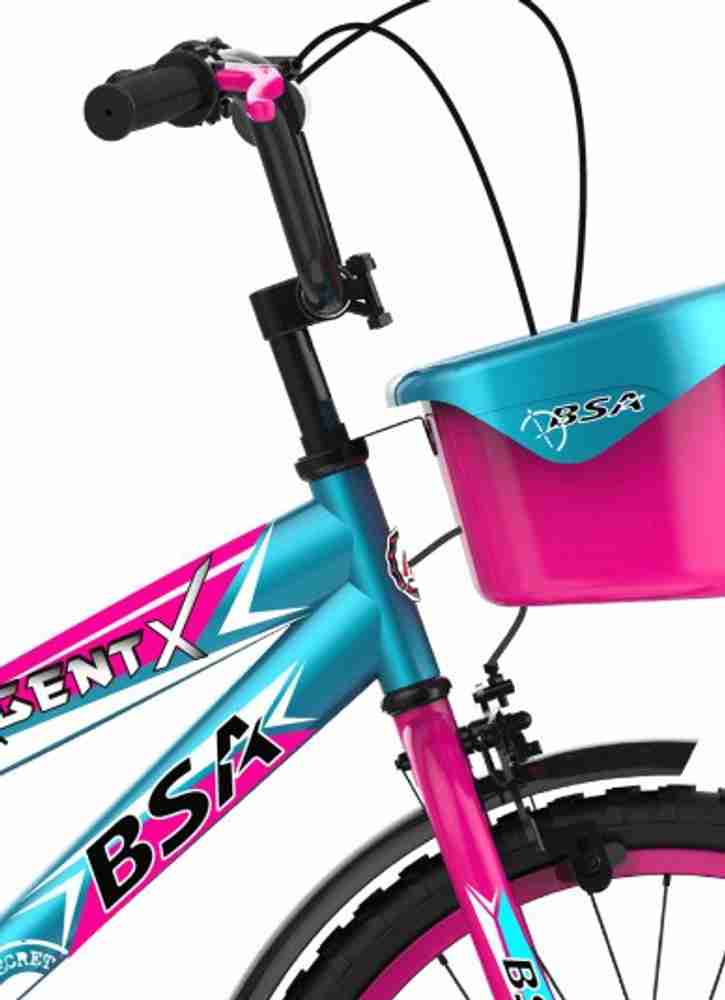 Bsa agent x cycle store