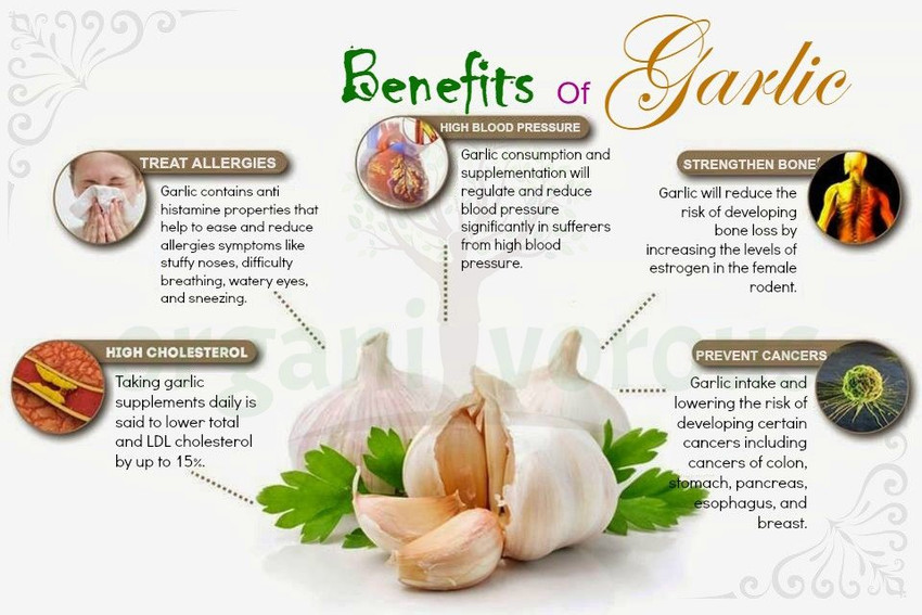 Organivorous Garlic Powder for Eating, Cooking & Baking | For Men & Women | Pure & Natural Price in India - Buy Organivorous Garlic Powder for Eating, Cooking & Baking | For
