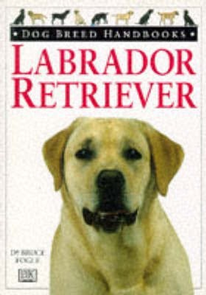 Labrador dog price in flipkart on sale
