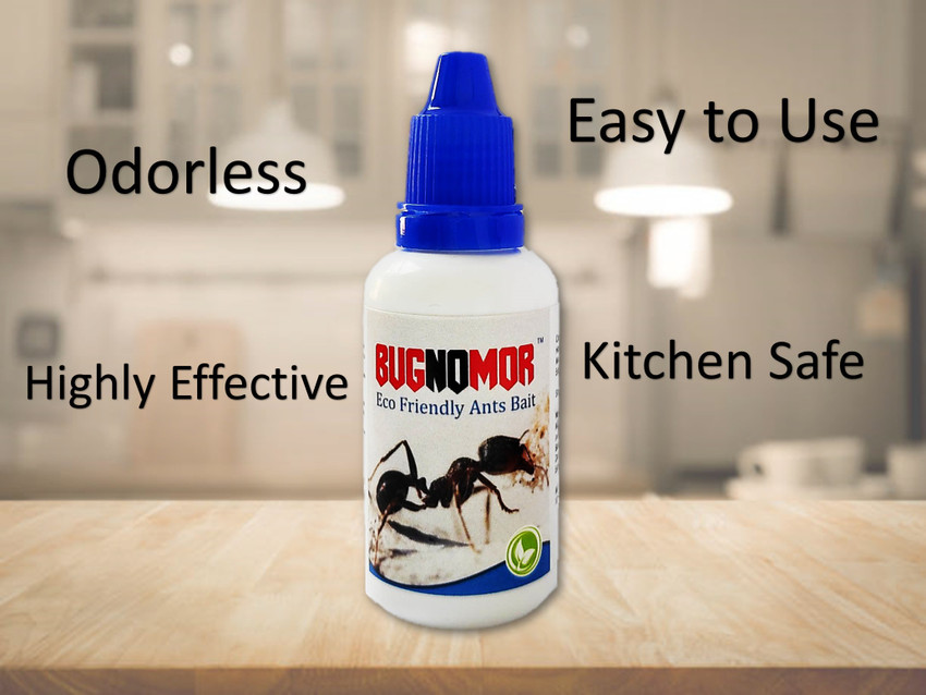 Ant bait store