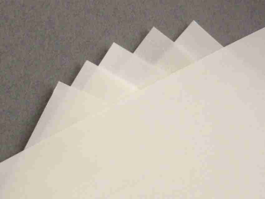 120 Pack】 Premium Vellum Papers (100 Sheets Transparent Vellum Paper & 20  Colored Vellum Paper) Translucent Vellum Paper -Printable Vellum Paper  -Trace & Sketc…