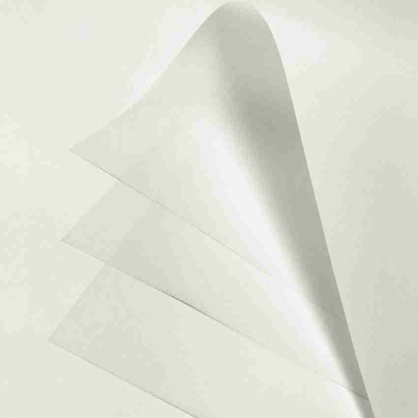 120 Pack】 Premium Vellum Papers (100 Sheets Transparent Vellum Paper & 20  Colored Vellum Paper) Translucent Vellum Paper -Printable Vellum Paper  -Trace & Sketc…