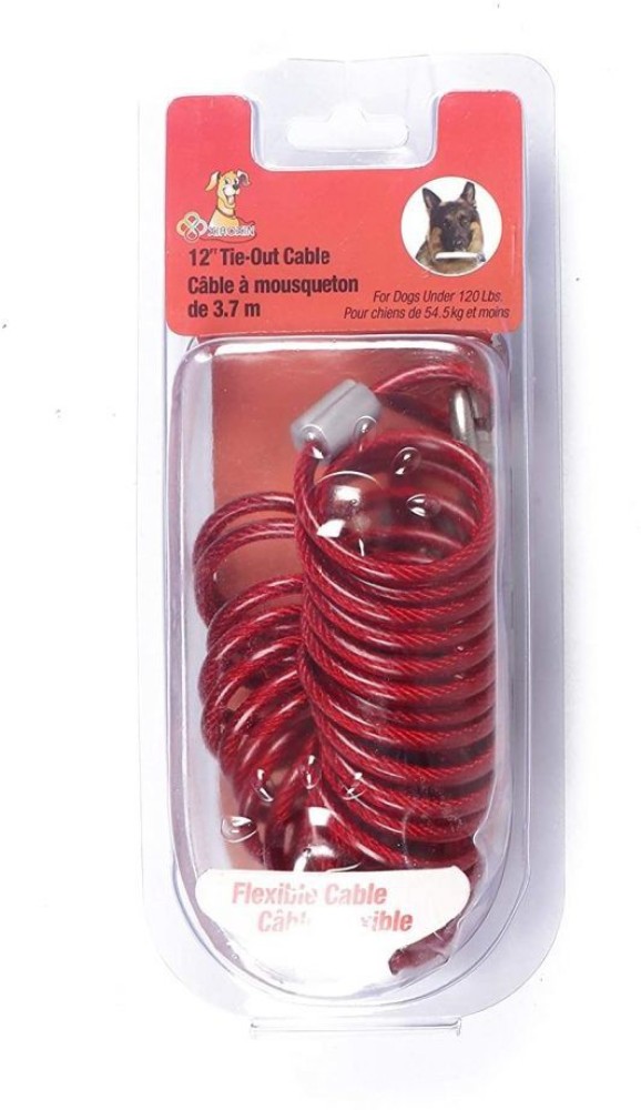 Coiled dog outlet tie out cable