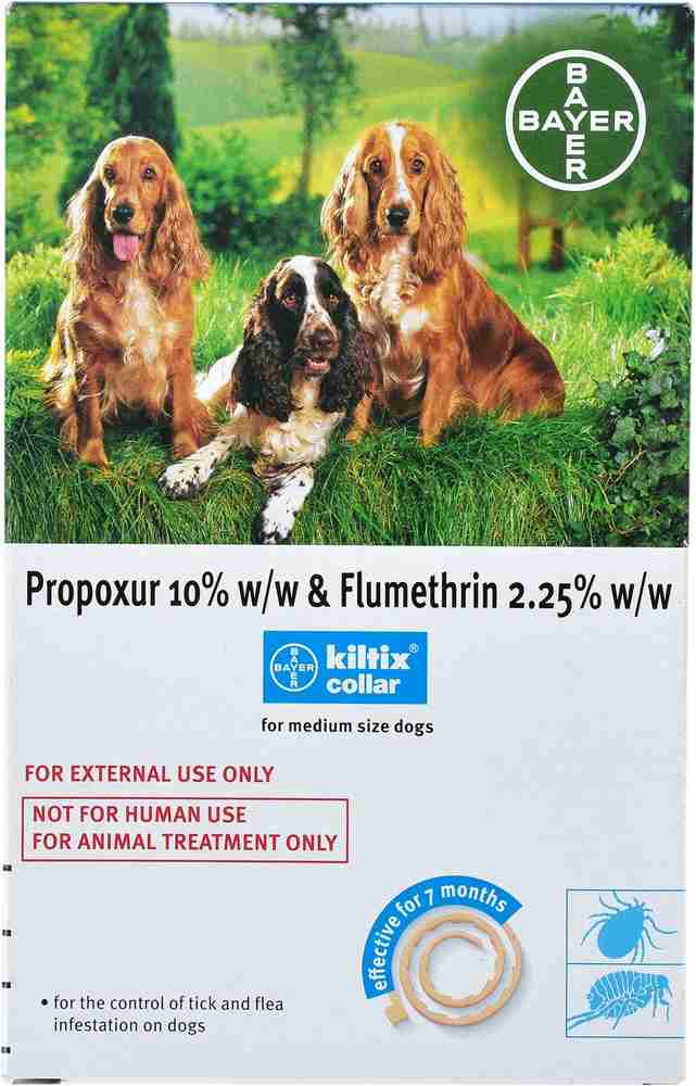 Kiltix collar large hotsell