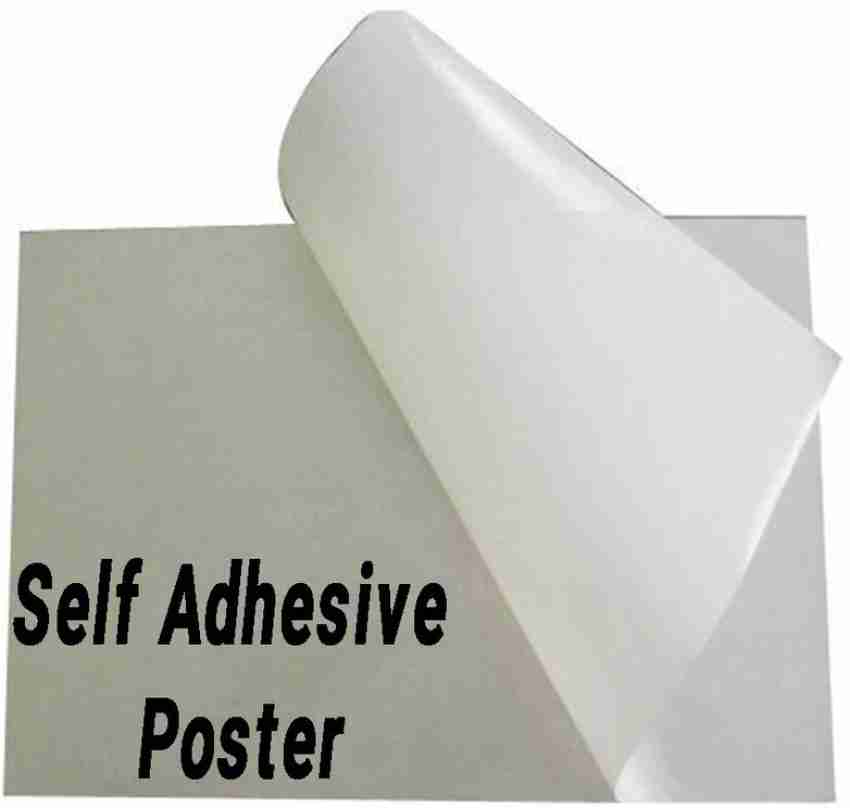 Paper 12x18 , 13x19 Digital Gumming Sheet at Best Price in Delhi