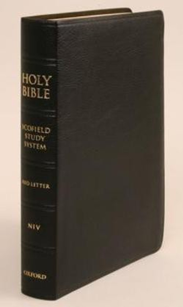 Difference Between NIV And KJV Difference Between 40 OFF difference-between-niv-and-kjv-difference-between-40-off