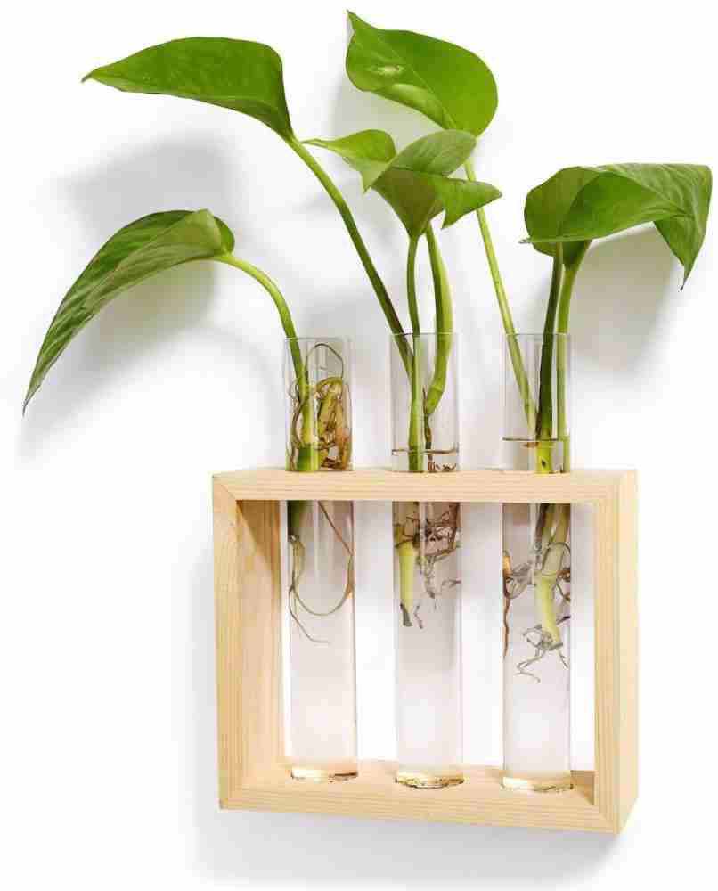 ALISHA HANDICRAAFTS Test Tube Planter with Wooden Base, Hydrophonic Planter  Plant Container Set Price in India - Buy ALISHA HANDICRAAFTS Test Tube  Planter with Wooden Base