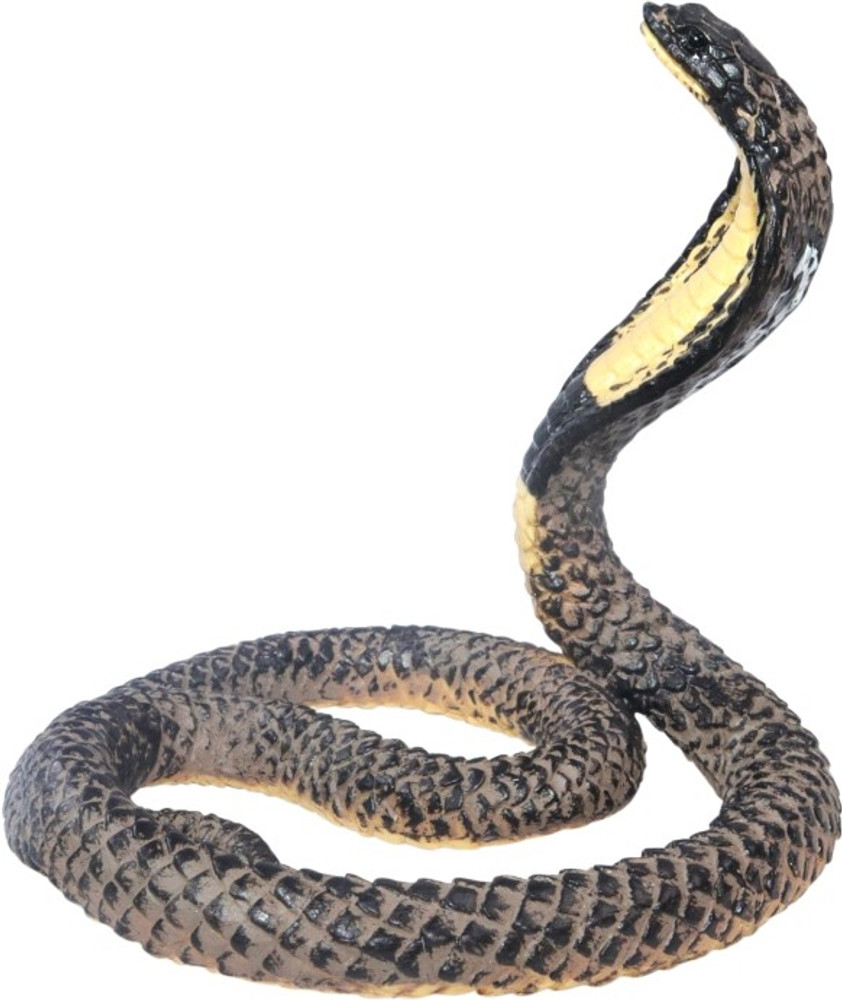 Animal planet remote control snake top