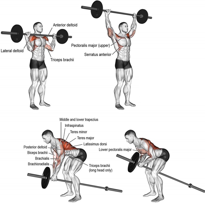 Straight 2025 barbell exercises