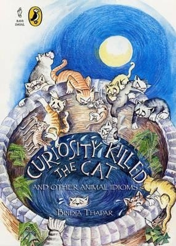 Curiosity Killed The Cat - English Cat Idioms and phrases