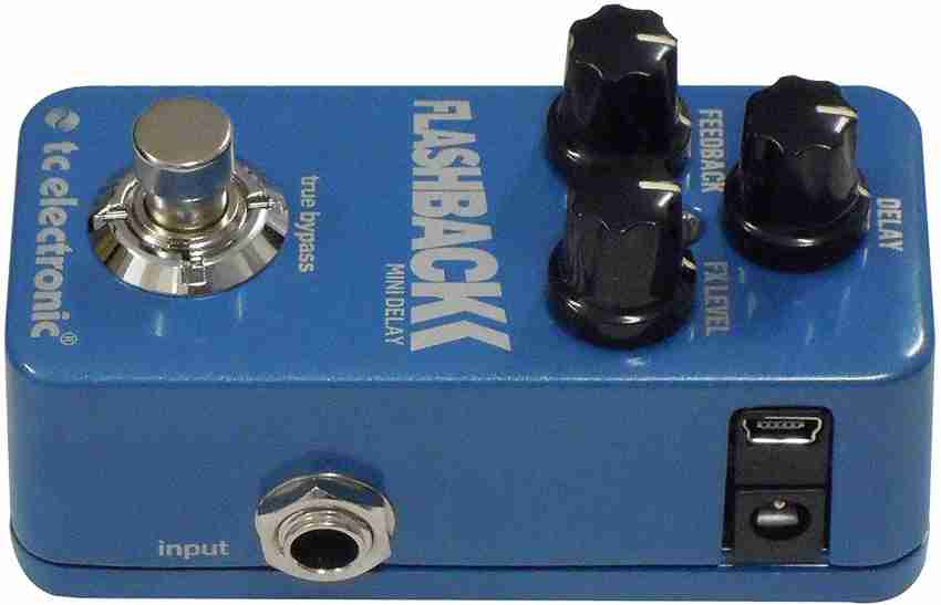 TC Electronic Flashback Mini Delay buy online in discounted price at Raj  Musicals Delhi India