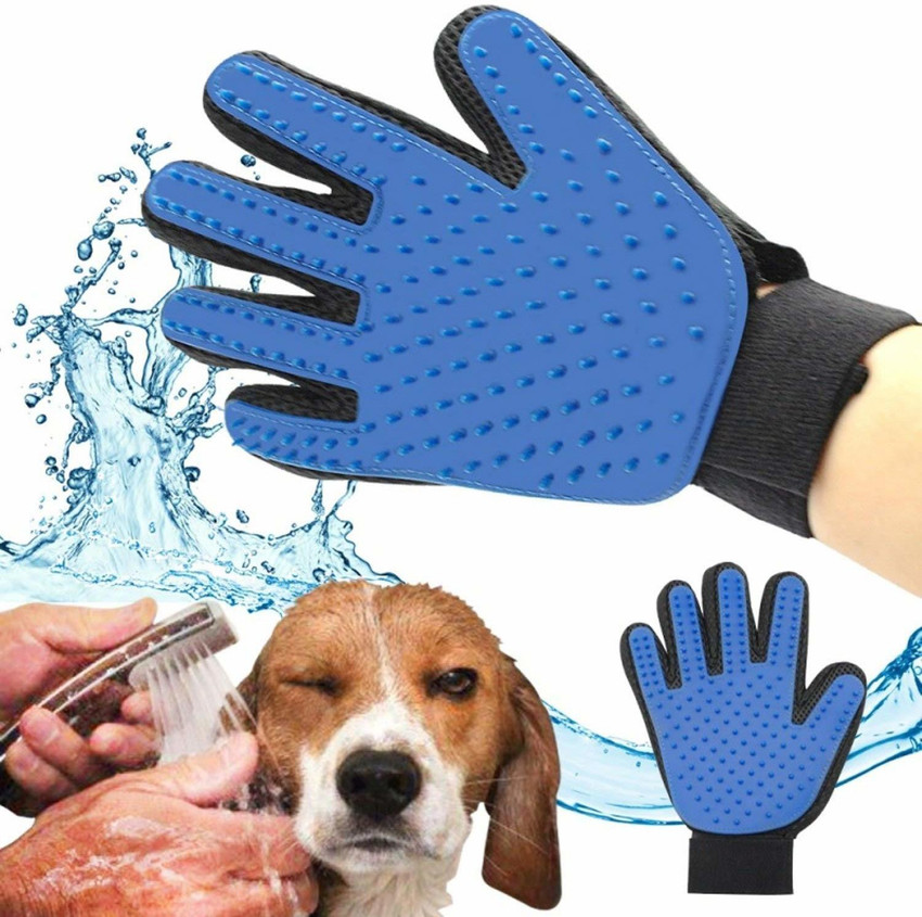 Beagle brush best sale