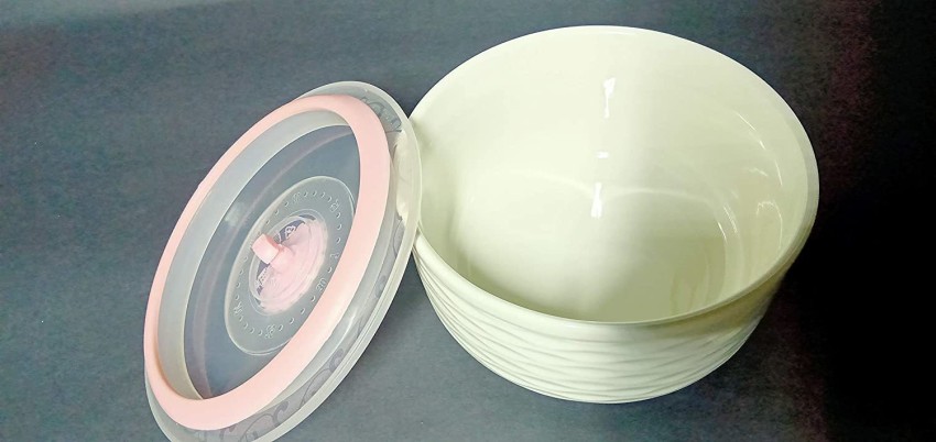 https://rukminim2.flixcart.com/image/850/1000/kk8mcnk0/bowl/m/u/z/bpa-free-microwave-safe-the-snap-tight-tpr-lids-made-of-virgin-original-imafzmj6mheh5h9w.jpeg?q=90