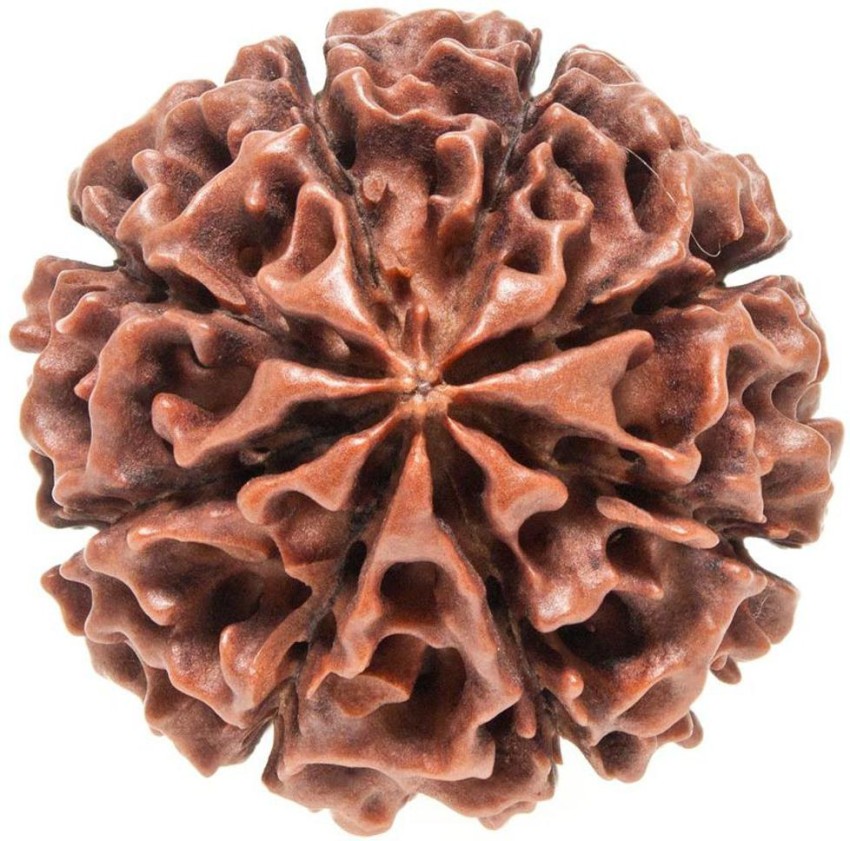 Numeroastro - 1 Mukhi  One Faced Rudraksha Om Brass Pendant