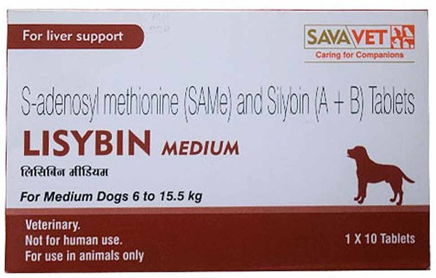 Lisybin large outlet