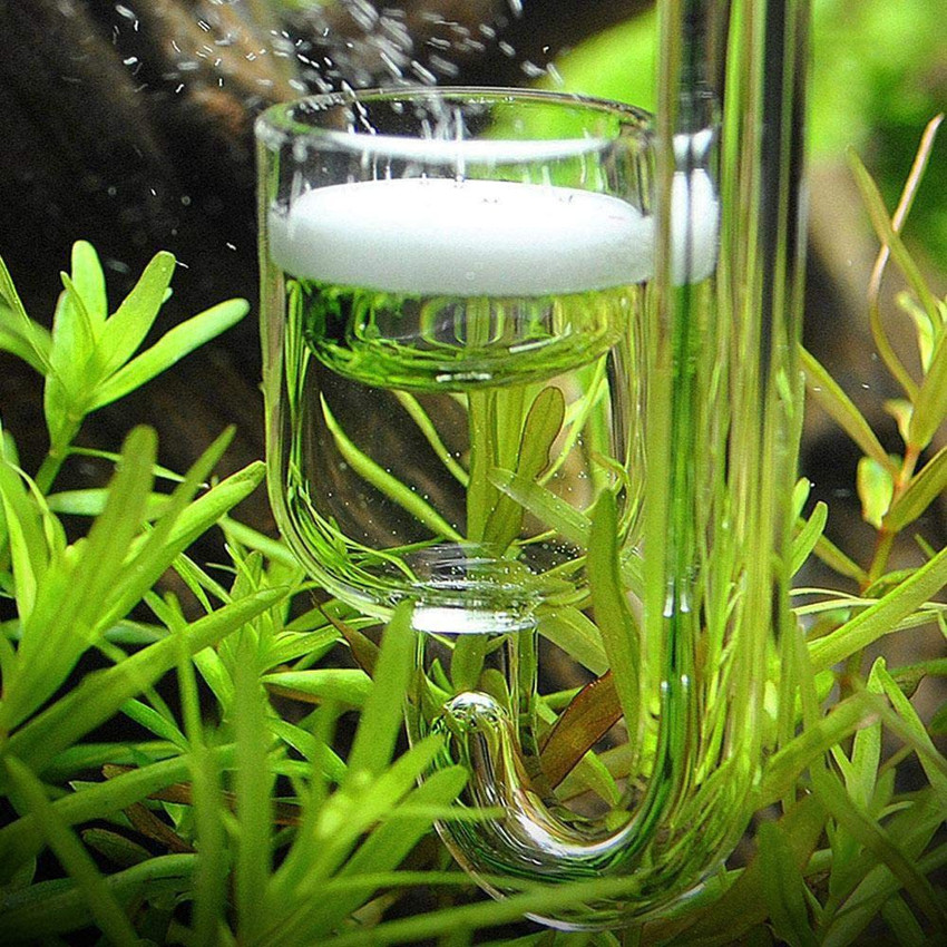 Co2 diffuser outlet