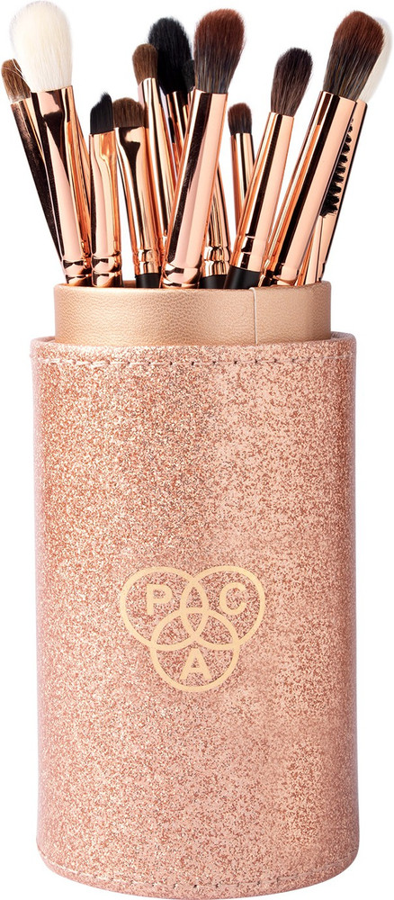Pac brushes shop set