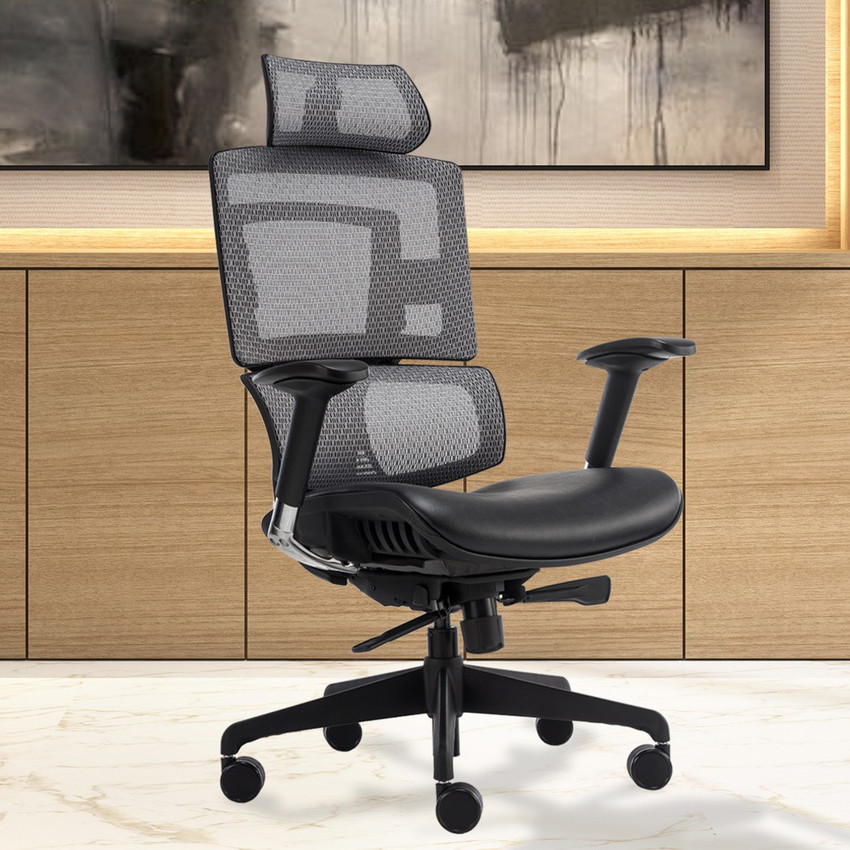 Durian ergonomic new arrivals chair
