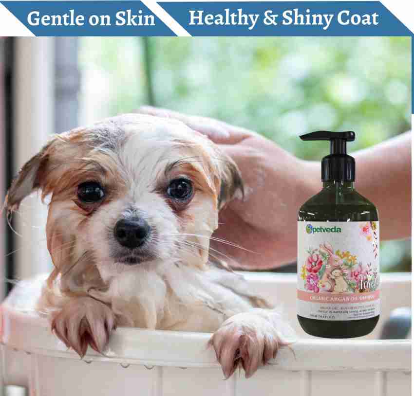 Argan oil 2024 for dogs