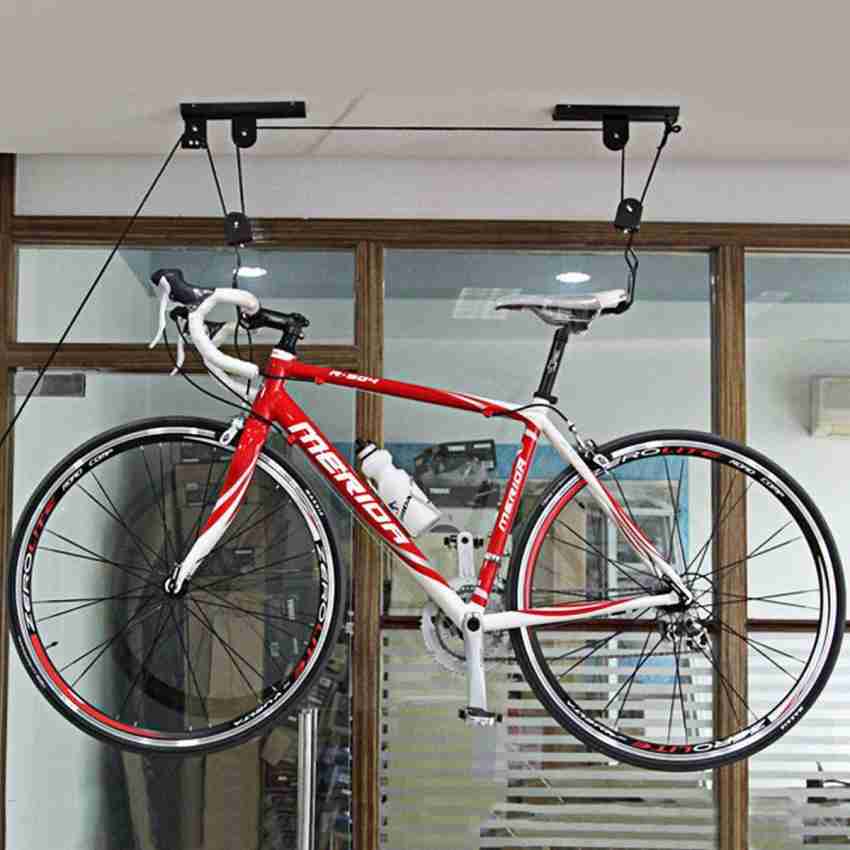 Ceiling mount bike best sale rack