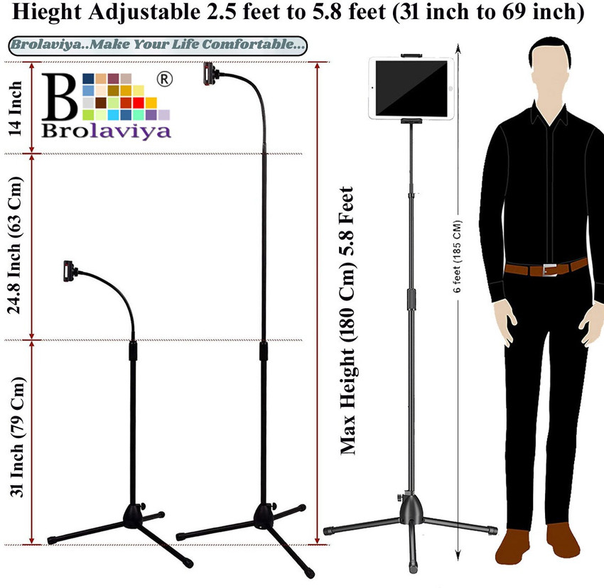 79 cm in feet hotsell
