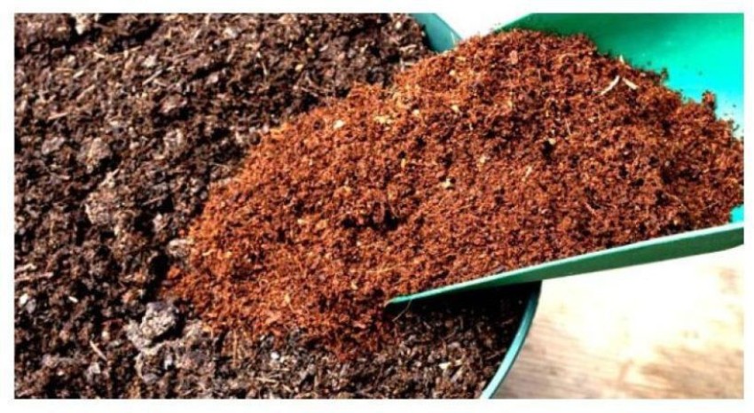 Super Ajanta 9002 Loose Coco Coir Potting Soil 1 Kg Soil