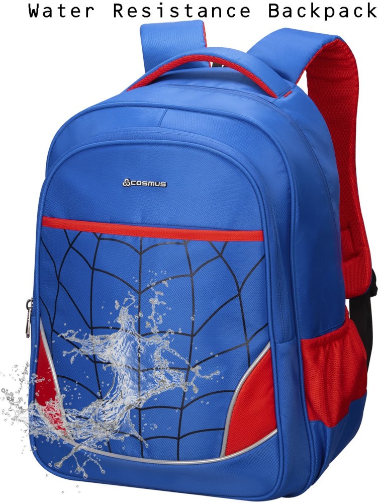 Cosmus Bags Backpacks - Buy Cosmus Bags Backpacks Online at Best Prices In  India | Flipkart.com