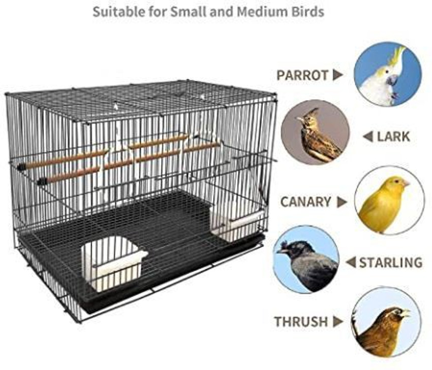 Bird sale with cage