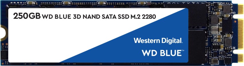 Wd Blue 250 Gb Ssd at Rs 1999/piece, WD SSD in New Delhi